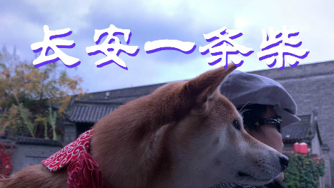 长安一条柴:人狗纷争愈演愈烈的当下,你会忍心拒绝寒风中这一人一狗的组合吗?